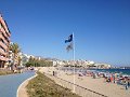 IMG 1978
